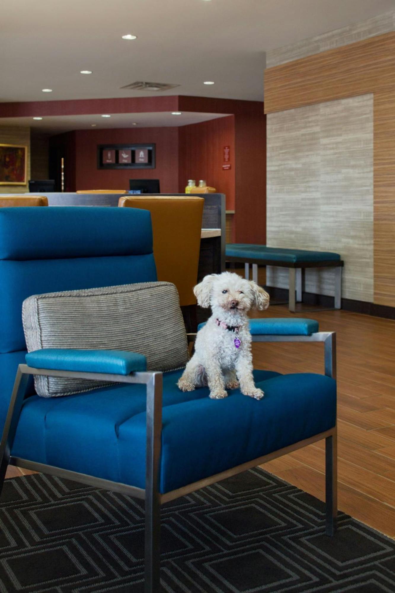 Towneplace Suites By Marriott Austin Round Rock Exterior photo